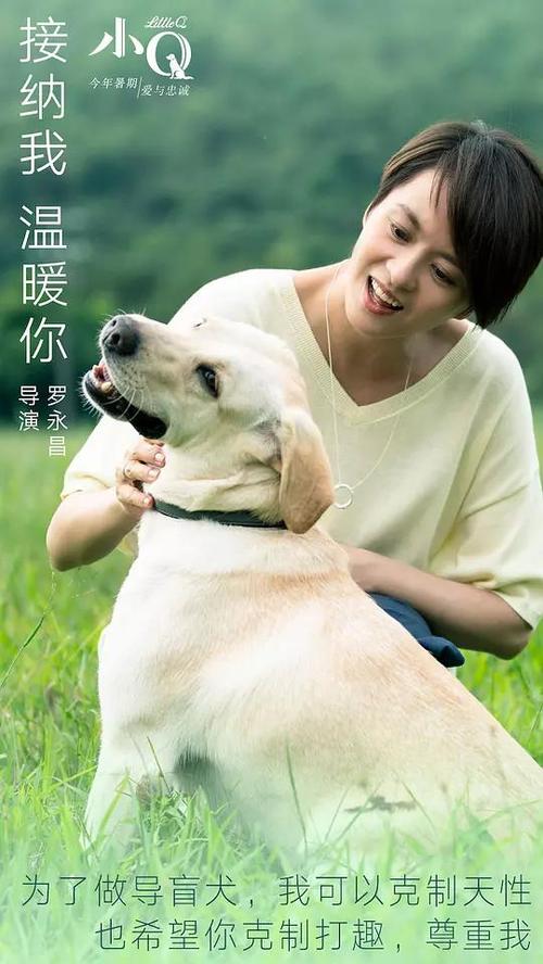 代办日本关西大学文凭毕业证